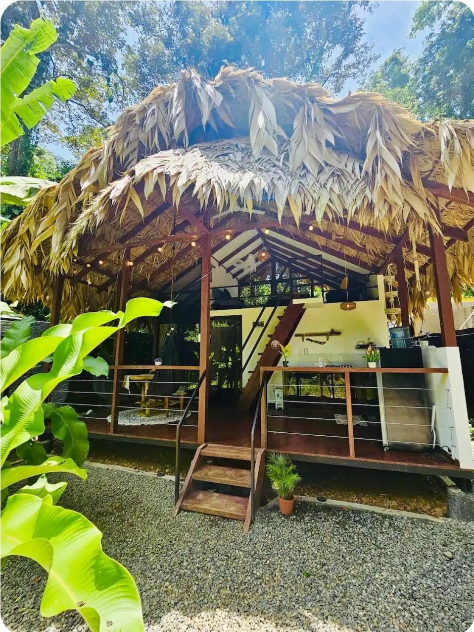 Villa Evolution House Jungle Oasis Hone Creek Exterior foto