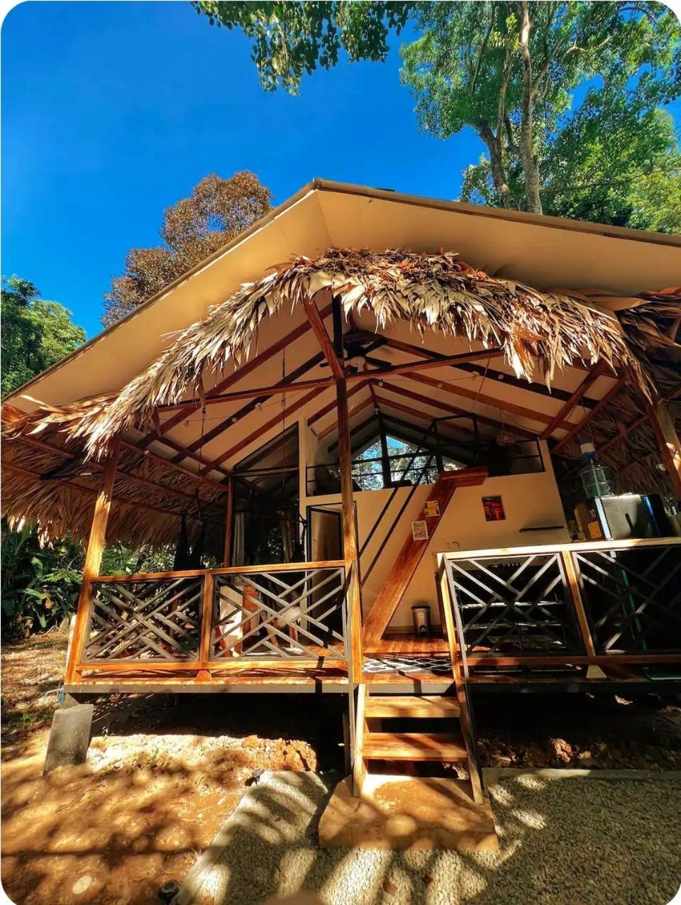 Villa Evolution House Jungle Oasis Hone Creek Exterior foto