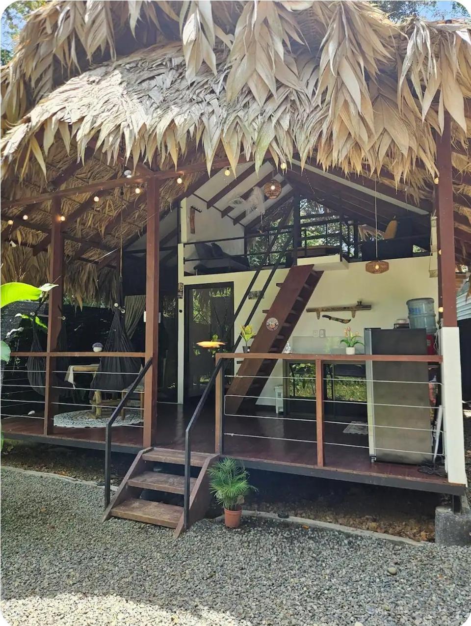 Villa Evolution House Jungle Oasis Hone Creek Exterior foto